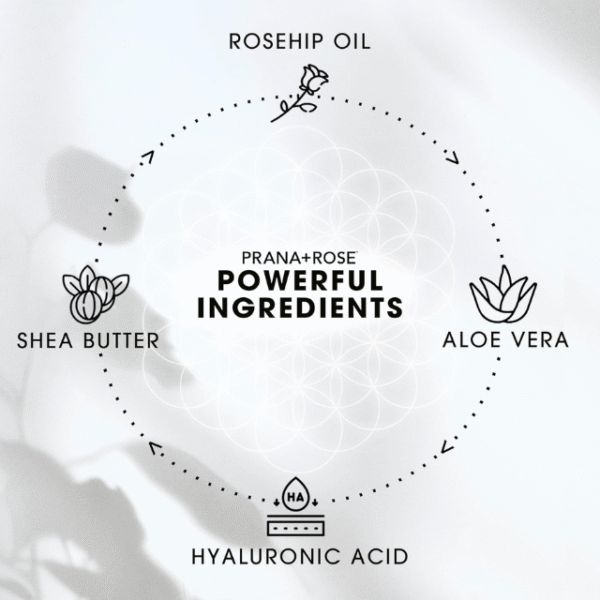 Organic Vegan Ultra Moisturizing Shea Butter Lotion - Image 5